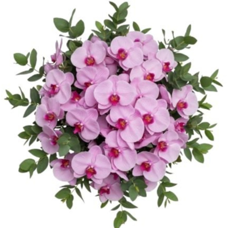 Classic Phalaenopsis Orchids Bouquet with Greenery