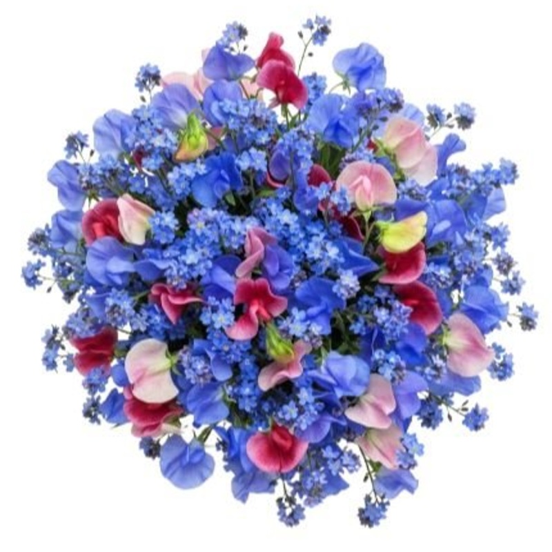 Colored Sweet Pea and Blue Forget Me Not Bouquet