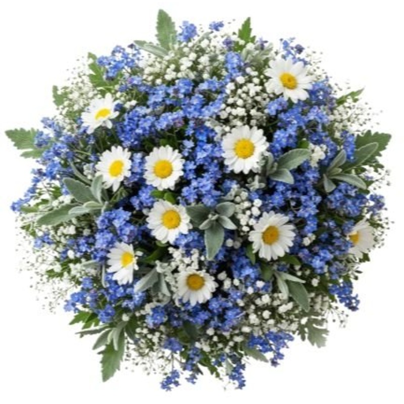 Cute Bouquet Daisies with Blue Forget Me Not