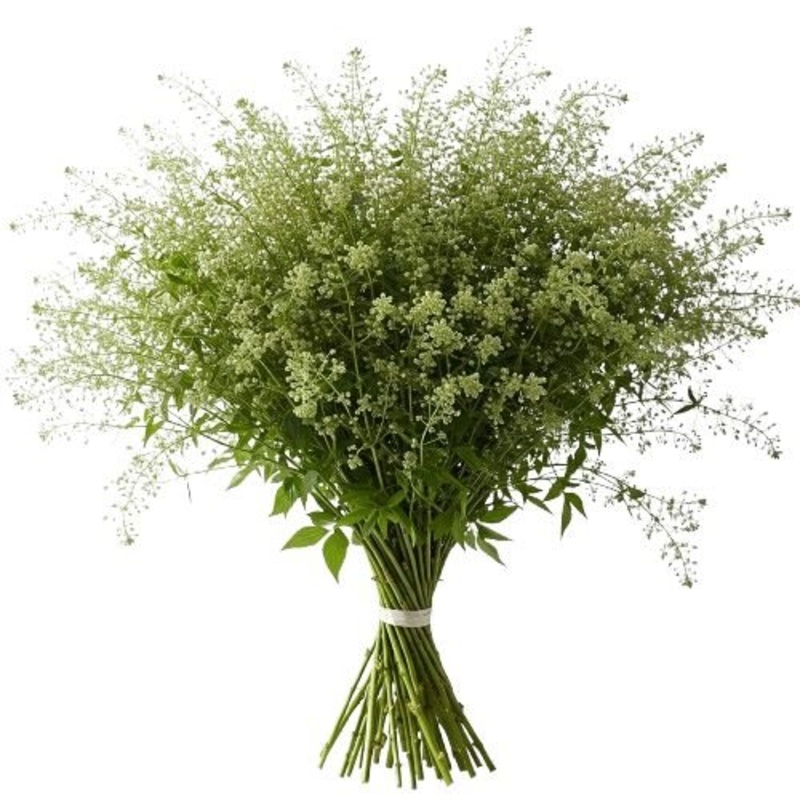 Decorative Green Bell  Unique Greenery