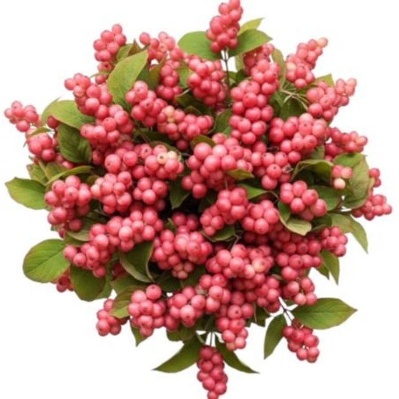 Pink Whisper Berry Dreams Bouquet
