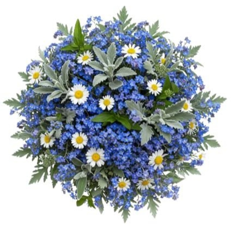 Pretty Blue and White Bouquet-Extra Small (20 stems) & Small (25 stems) & Regular (30 stems) & Medium (35 stems) & Large (40 stems) & Extra Large 50 stems) & Luxury (65 stems) & Glamour (80 stems) & Exclusive Glamour (100 stems) & Premium (120 stems) & Pr