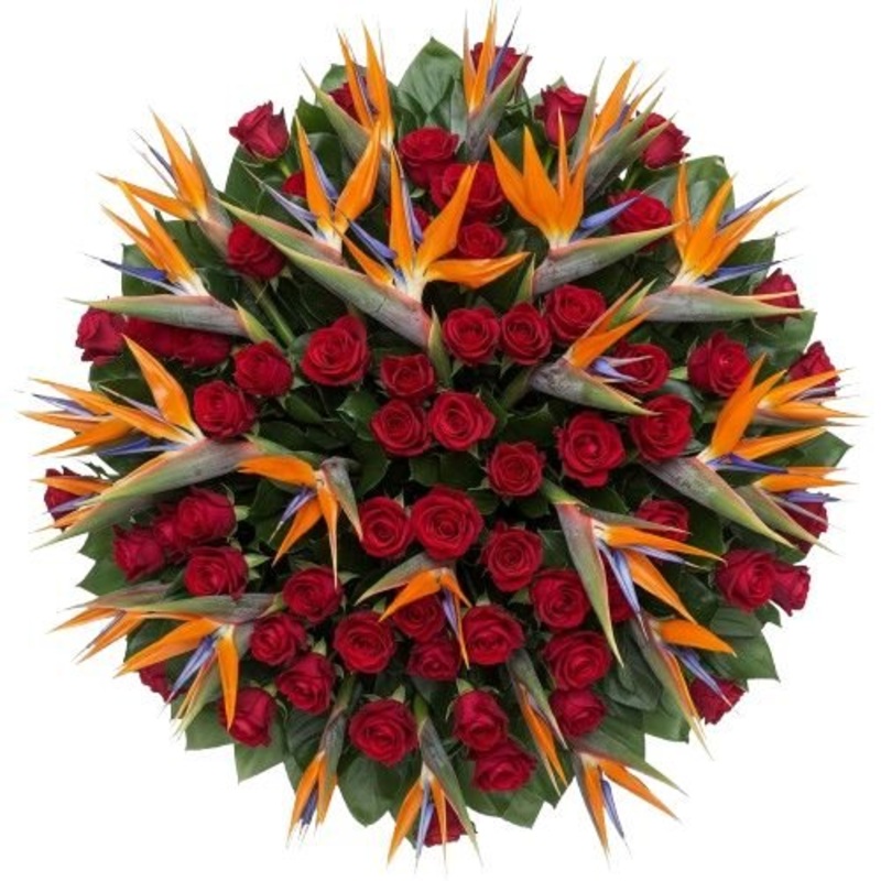 Pretty Bouquet of Roses with Birds of Paradise Blooms