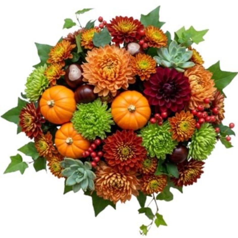 Pumpkin Patch Delight Bouquet-Extra Small (20 stems) & Small (25 stems) & Regular (30 stems) & Medium (35 stems) & Large (40 stems) & Luxury (50 stems) & Glamour 60 stems) & Exclusive Glamour (70 stems) & Premium (85 stems) & Premium Extra (100 stems)
