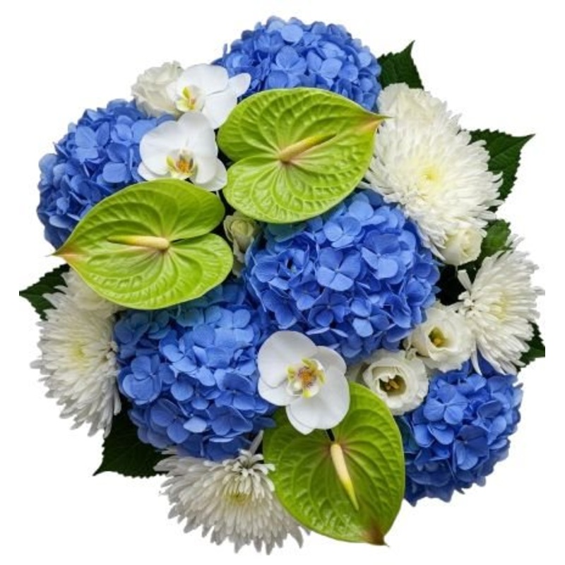 Pure Serenity Orchid Bouquet-Small (20 stems) & Medium (25 stems) & Regular (30 stems) & Large (35 stems) & Extra Large (40 stems) & Luxury (45 stems) & Glamour (50 stems) & Exclusive Glamour (65 stems) & Premium (80 stems) & Posh (100 stems)