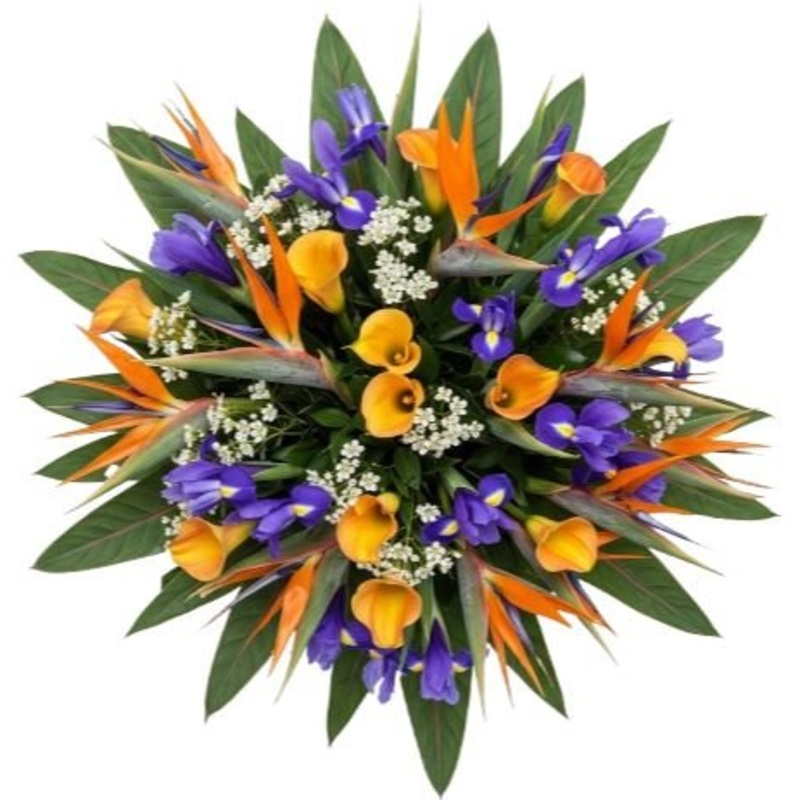 Radiance of Exotic Blooms Bouquet