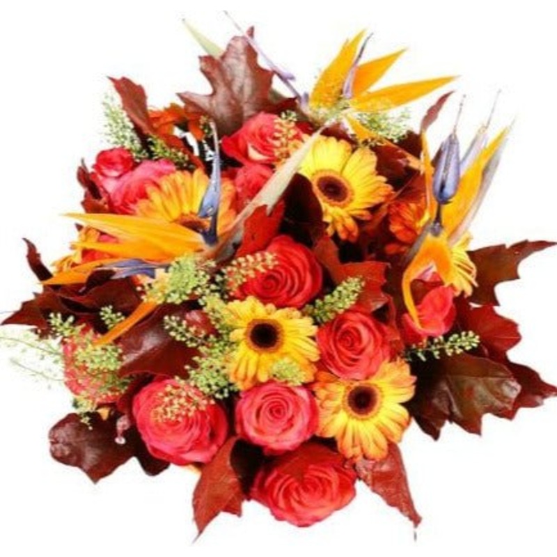 Radiance of Paradise Blooms Bouquet