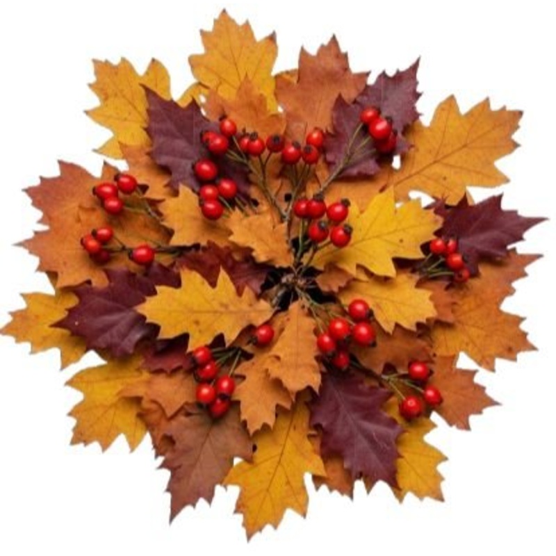Rustic Bouquet of Oak Leaves and Rose Hips Berries