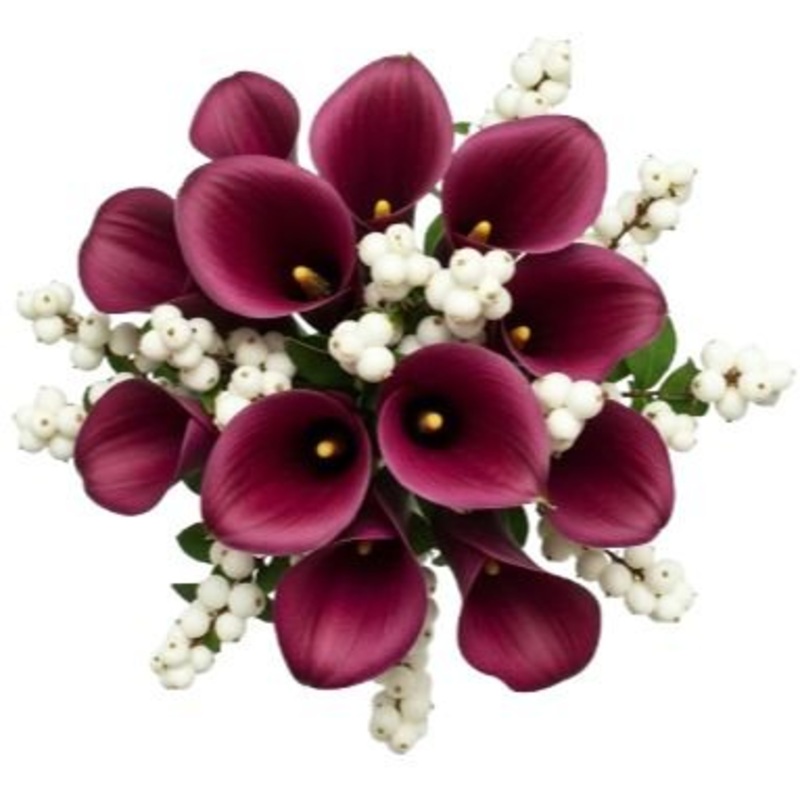 Snowberry Kissed Calla Dreams Bouquet