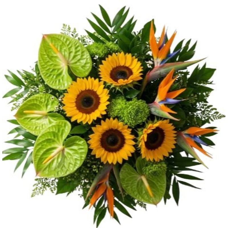 Sunflowers and Anthurium with Birds of Paradise Bouquet