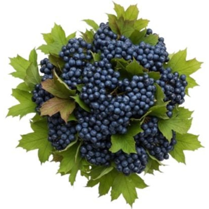 Viburnum Blueberries Hill Bouquet