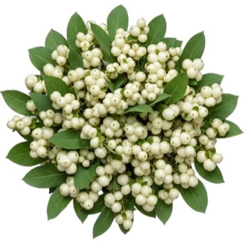 White Snowberry Pretty Bouquet