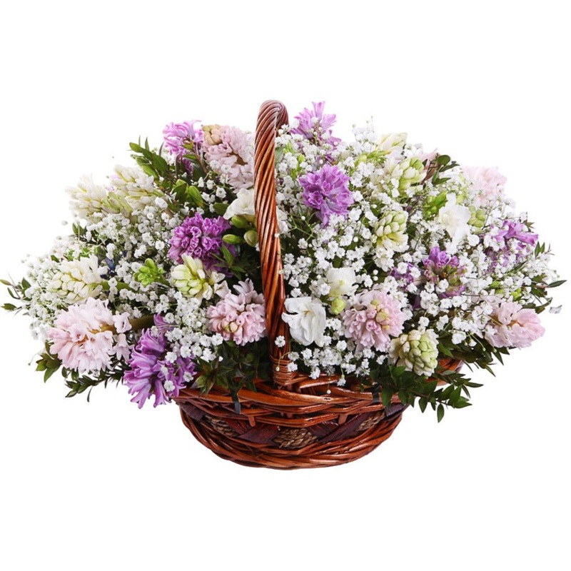 Aromatic Basket of Hyacinth and White Freesias