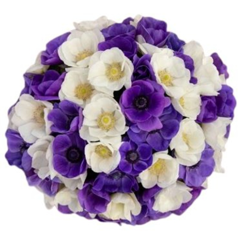 Blue and White Anemone Bouquet