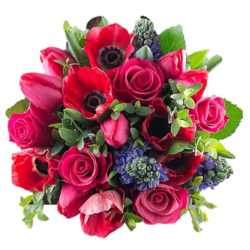 Blue Hyacinth in Red Bouquet-Small (25 stems) & Regular (30 stems) & Medium (35 stems) & Large (40 stems) & Extra Large (50 stems) & Luxury (65 stems) & Glamour (80 stems) & Exclusive Glamour (100 stems) & Premium (120 stems) & Premium Extra (150 stems)