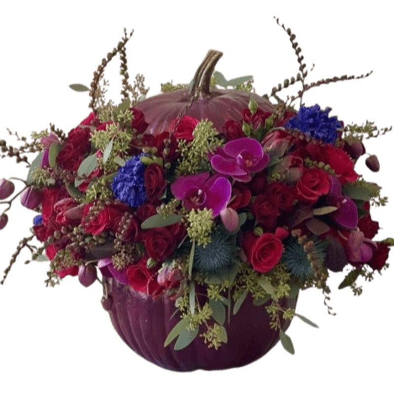 Burgundy Luxury Pumpkin Arrangement