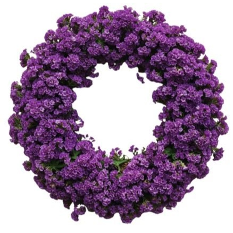 Classic Limonium Door Wreath-30cm (12inch) & 36cm  (14inch) & 42cm (16inch) & 52cm (21inch)-Purple Limonium & Light Purple Limonium & Pink Limonium & White Limonium & Magenta Limonium