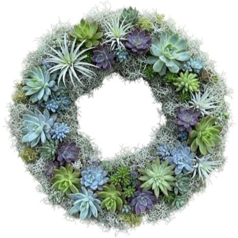 Door Wreath of Succulent in Spanish Moss