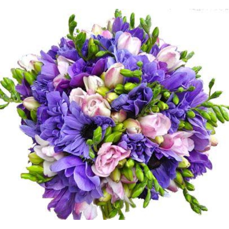Purple Anemone & Pink Freesias Bouquet