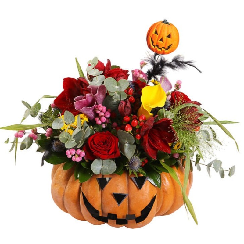 Scarry Cute Halloween Pumpkin-Small (20 stems) & Medium (25 stems) & Regular (30 stems) & Large (35 stems) & Extra Lareg (40 stems)