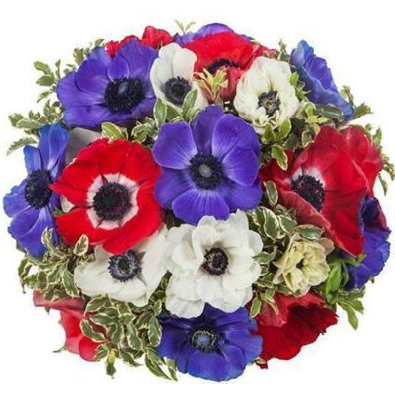 Sorbet Bouquet-Extra Small (15 stems) & Small (20 stems) & Regular (30 stems) & Large (45 stems) & Extra Large (60 stems) & Luxury (75 stems) & Glamour 85 stems) & Exclusive Glamour (100 stems)