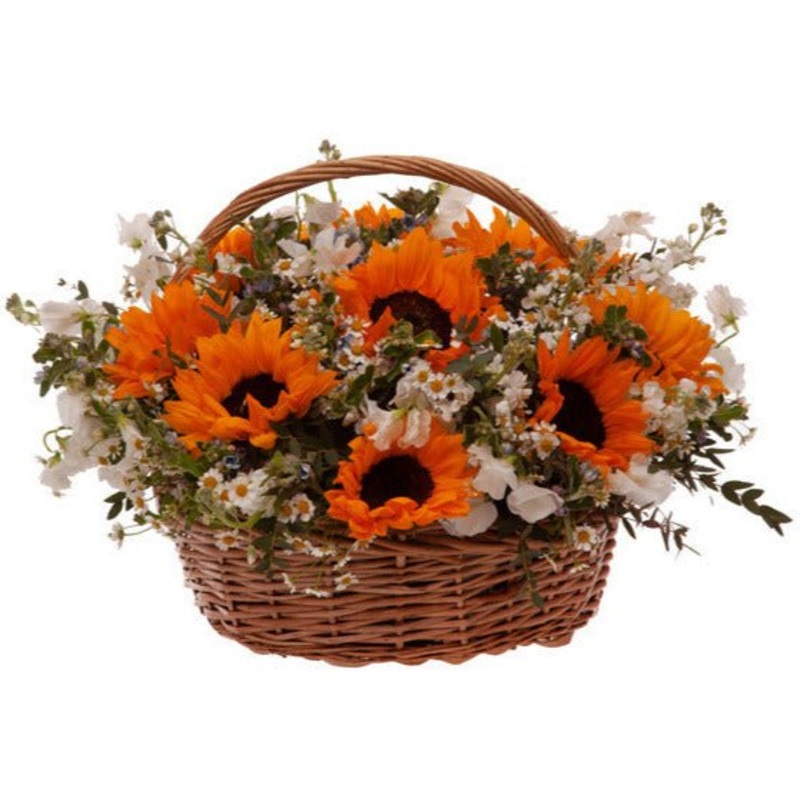 Sunflowers and Sweet Peas with Daisy Tanacetum Basket