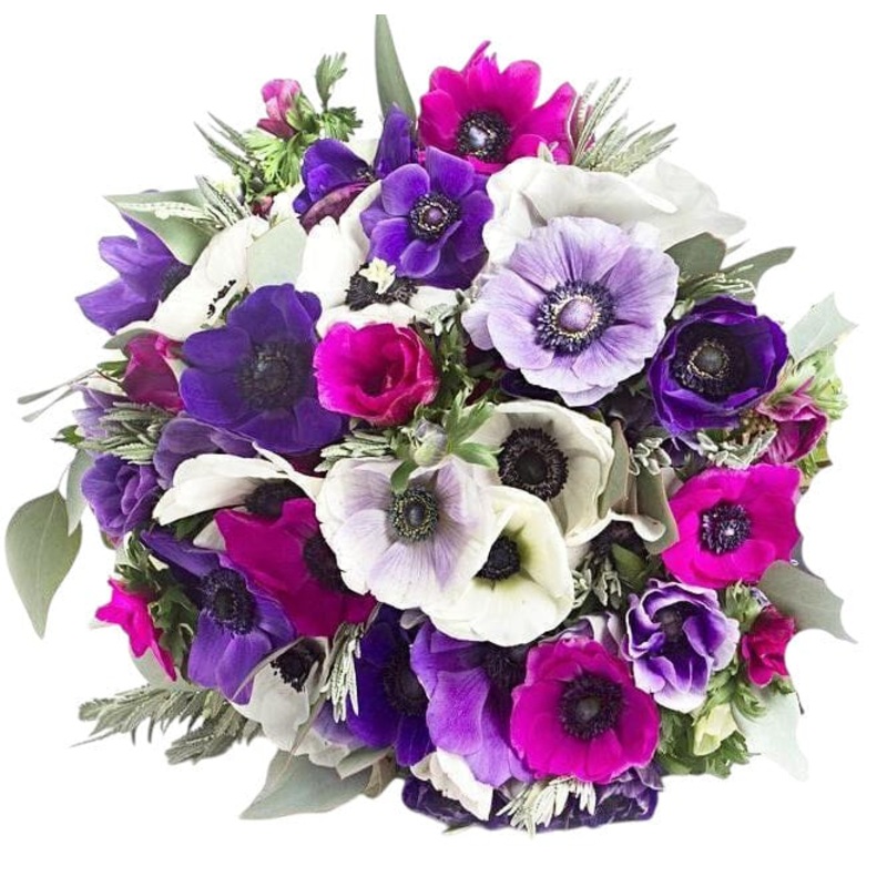 Vibrant Anemone Bouquet-Small (20 stems) & Regular (30 stems) & Medium (40 stems) & Large (45 stems) & Extra Large (55 stems) & Luxury (65 stems) & Glamour (85 stems) & Exclusive Glamour (100 stems)