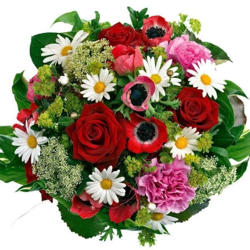 Vibrant Bouquet with Daisy and Anemones