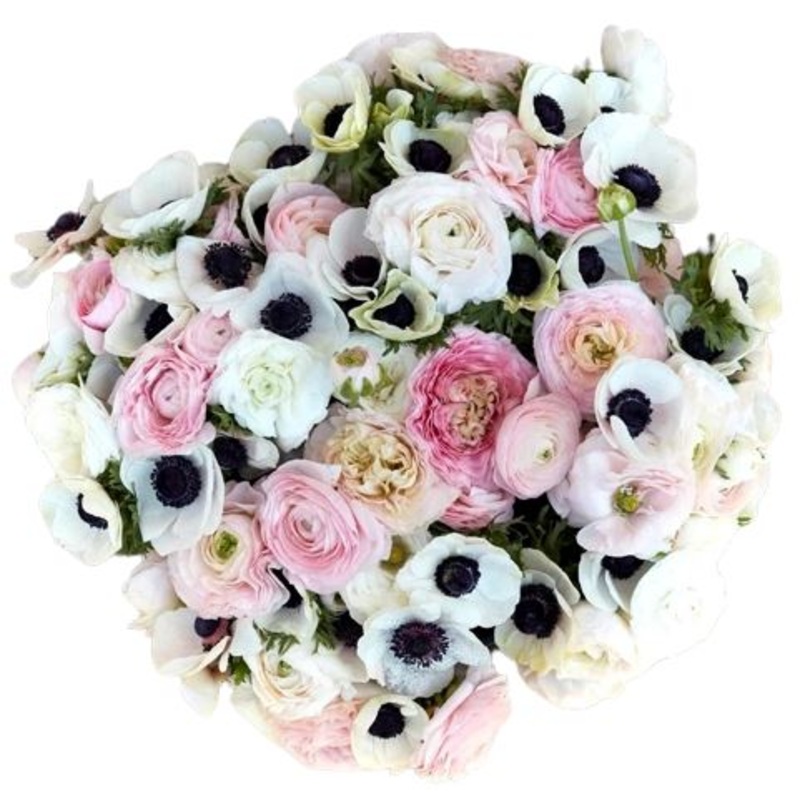 White Anemone & Ranunculus Bouquet