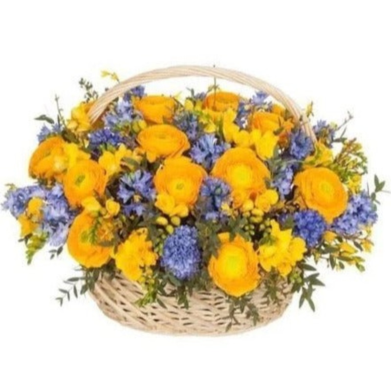 Yellow Ranunculus and Freesias with Hyacinths Basket
