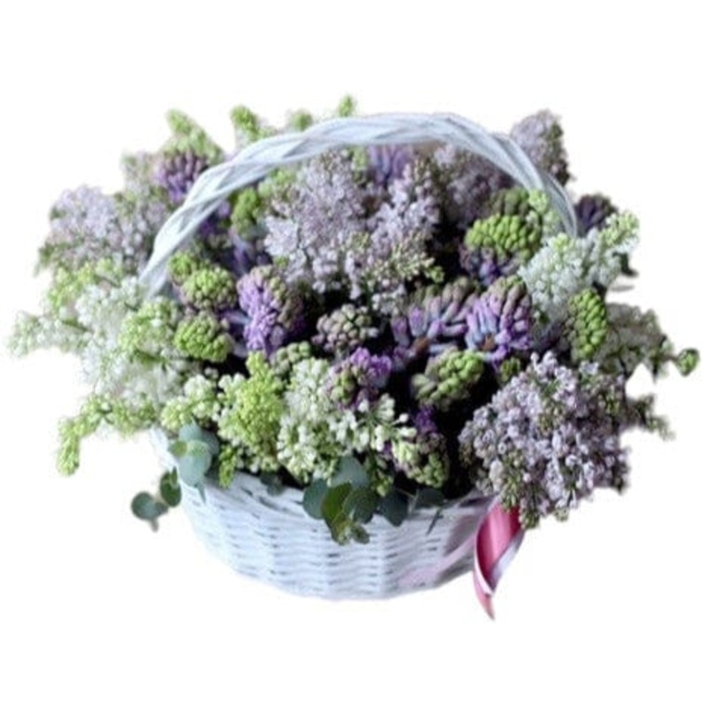 Basket of Hyacinths with White and Lavender Lilac
