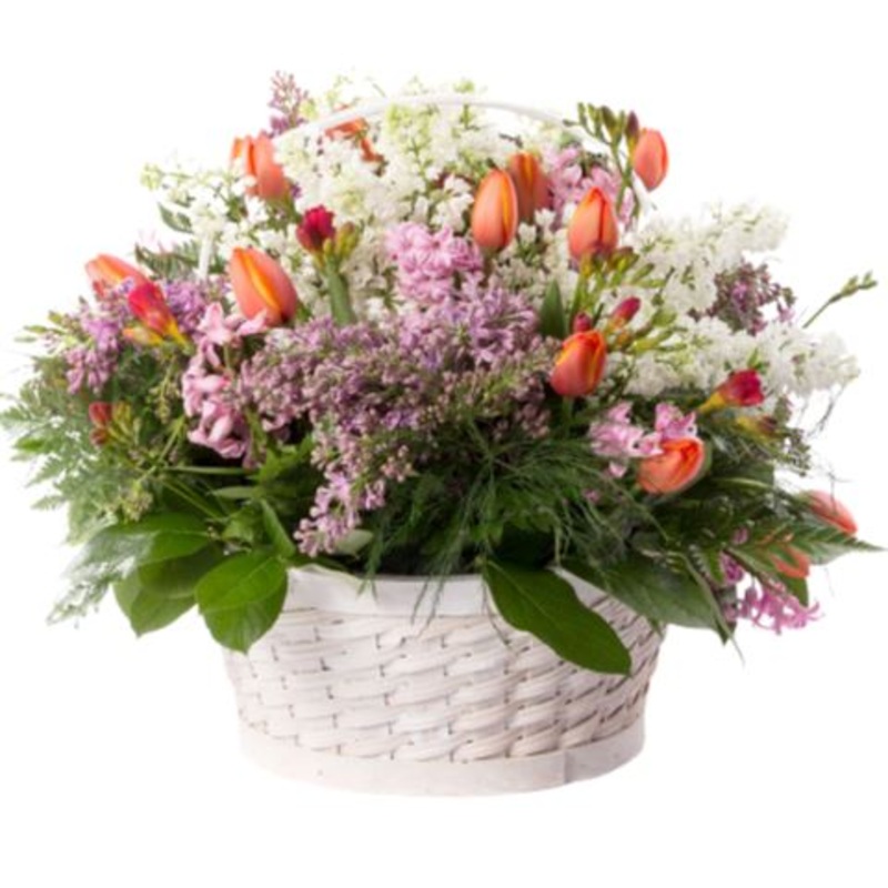 Basket of Lilac and Orange Tulips