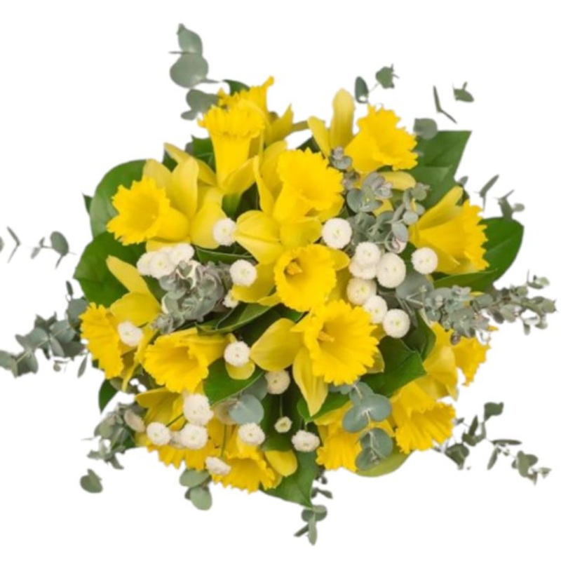 Bouquet Daffodils and White Tanacetum