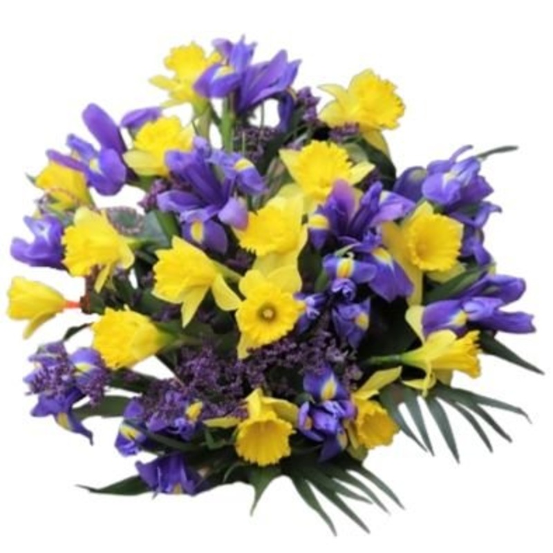 Bouquet of Daffodils and Iris-Extra Small (20 stems) & Small (25 stems) & Medium (30 stems) & Regular (40 stems) & Large (50 stems) & Extra Large (65 stems) & Luxury (80 stems) & Glamour (100 stems) & Exclusive Glamour (125 stems) & Premium (150 stems) &