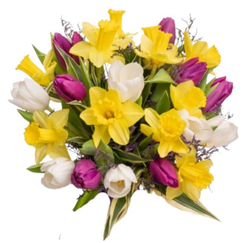 Bouquet of Daffodils and Tulips