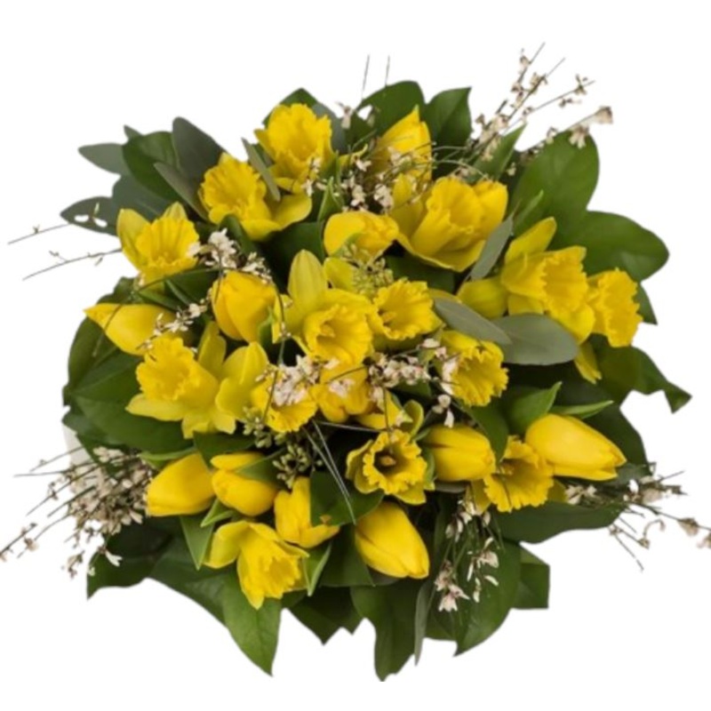 Daffodils and Tulips with Genista Bouquet