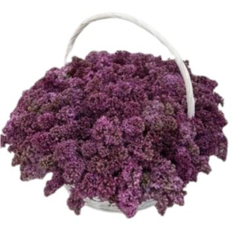 Dark Purple Lilac Basket-Extra Small (7 stems) & Small (12 stems) & Regular (17 stems) & Medium (25 stems) & Large (30 stems) & Extra Large (40 stems) & Luxury (50 stems) & Glamour (65 stems) & Exclusive Glamour (80 stems) & Premium (100 stems) & Premium