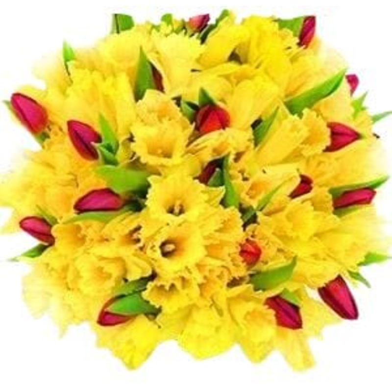 Pleasing Daffodils and Tulips Bouquet