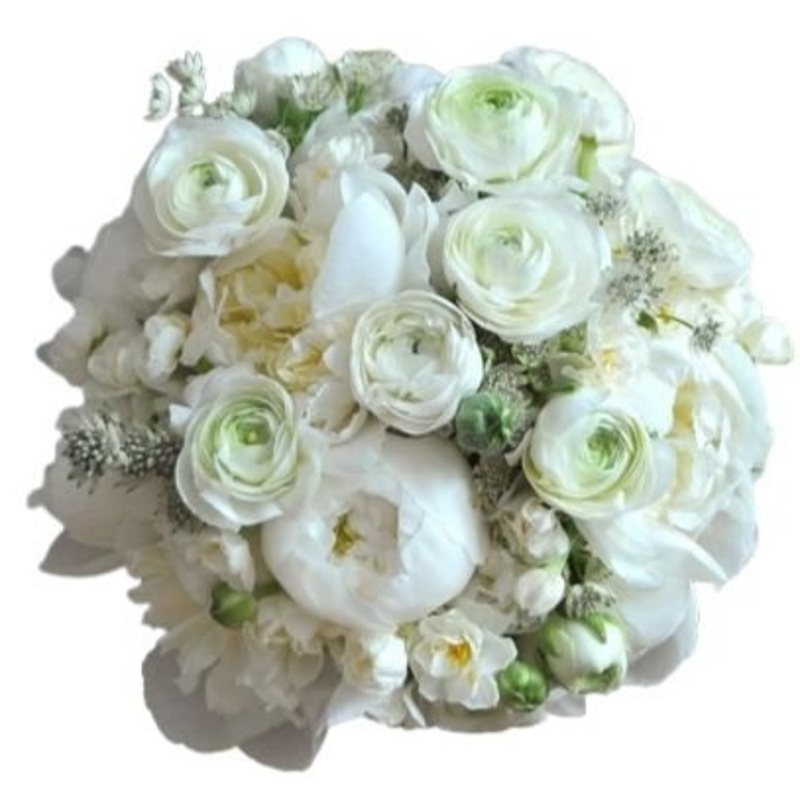 Pure White Peonies and Ranunculus Luxury Bouquet