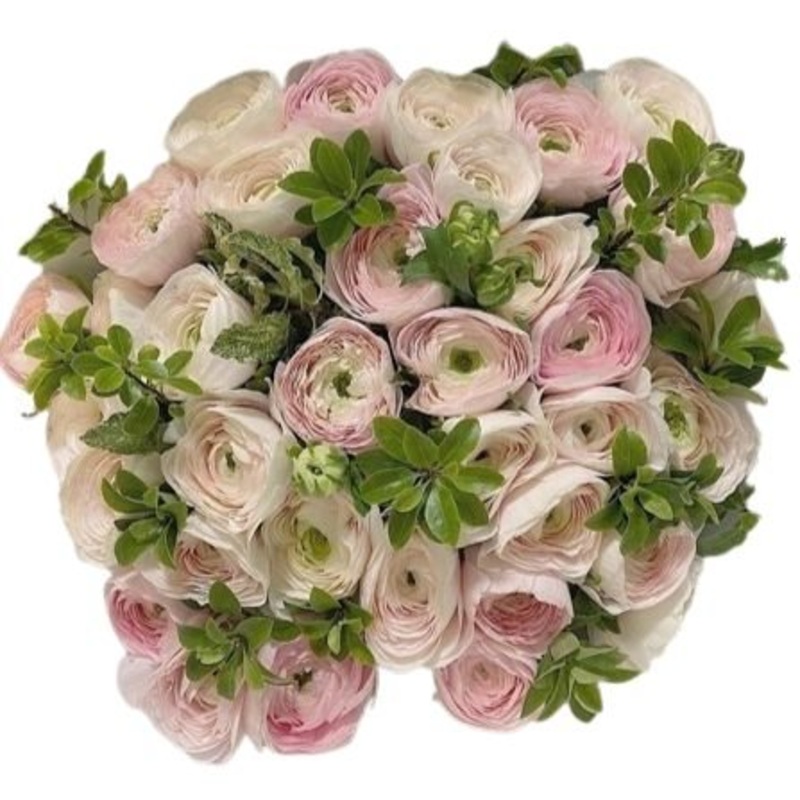 Blush Pink Ranunculus with Greenery Bouquet