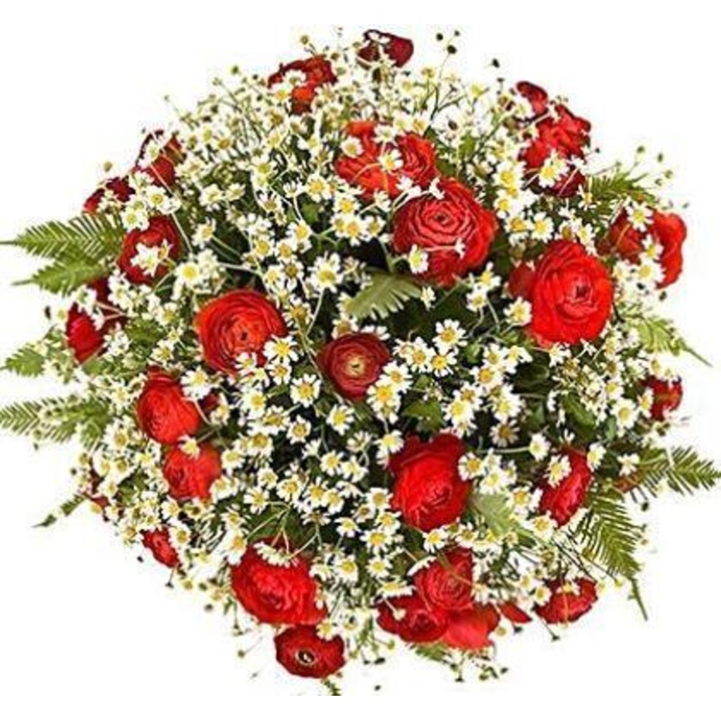 Blushing Bouquet-Small (20 stems) & Regular (25 stems) & Medium (30 stems) & Large (40 stems) & Extra Large (50 stems) & Luxury (65 stems) & Glamour (85 stems) & Exclusive Glamour (100 stems) & Premium (120 stems) & Premium Extra (140 stems) & Posh (160 s