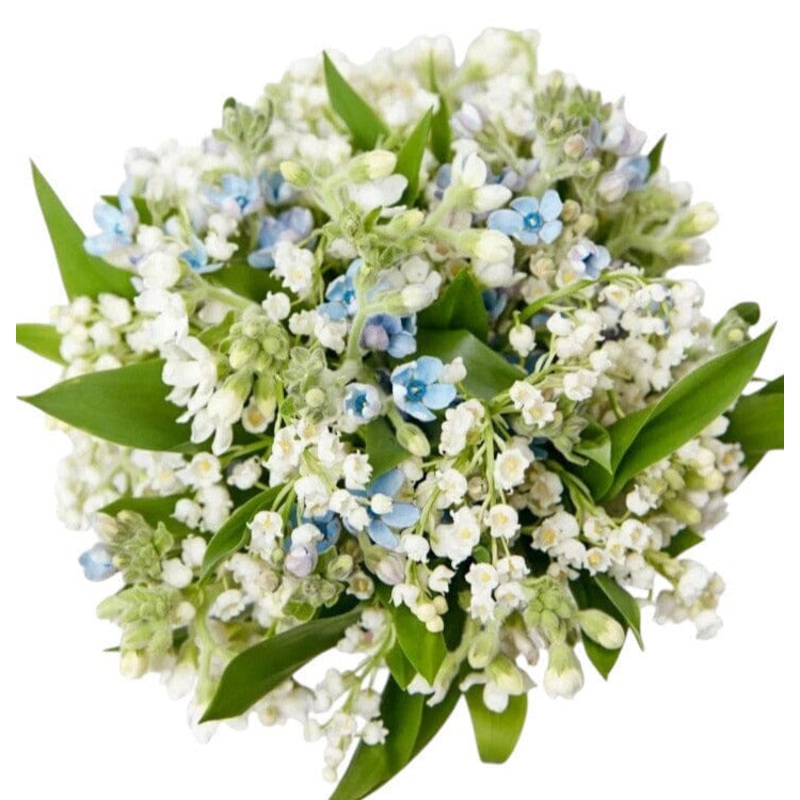 Bouquet of Lily of the Valley and Oxypetalum