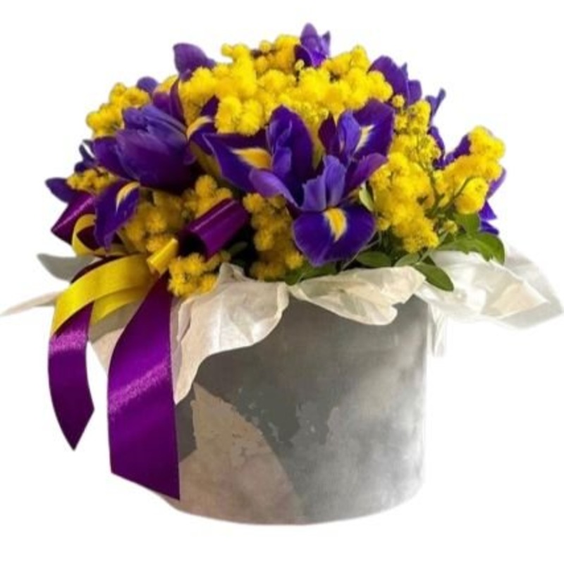 Box of Mimosa and Blue Irises-Small (15 stems) & Regular (20 stems) & Large (25 stems) & Extra Large (30 stems) & Luxury (35 stems) & Glamour (40 stems) & Exclusive Glamour (50 stems) & Premium (60 stems) & Premium Extra (80 stems) & Posh (100 stems) & De