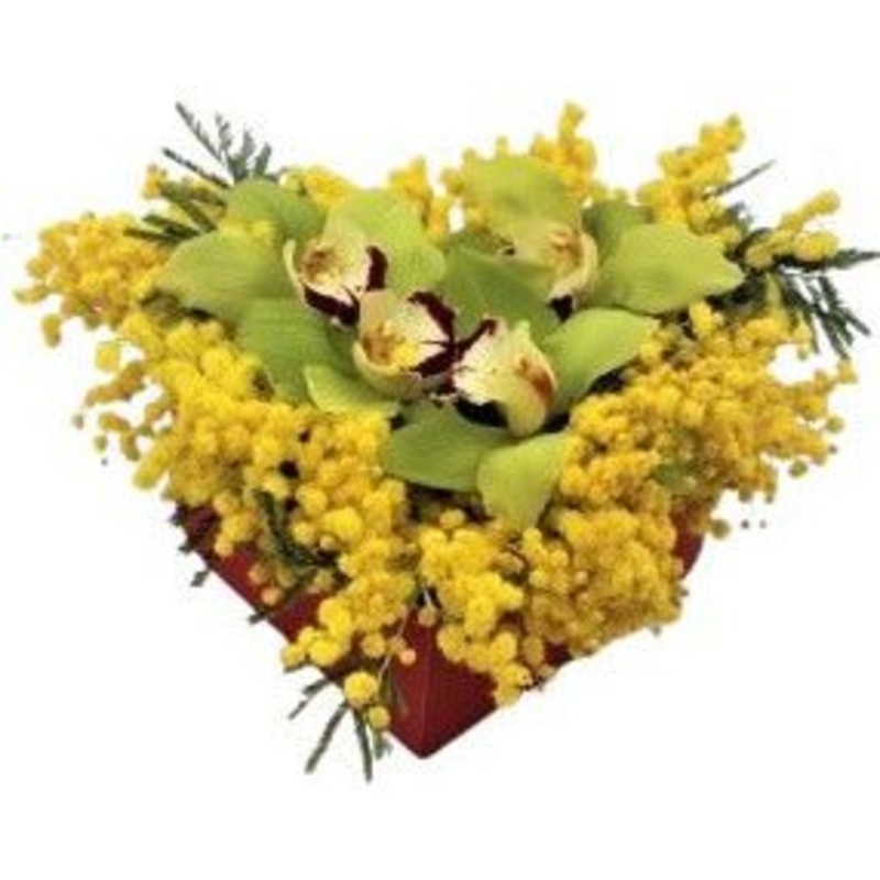 Cymbidium Orchids with Mimosa in a Box