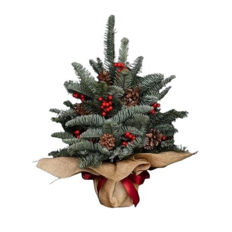 Jute Wrapped Blue Spruce Christmas Tree with Red Berries and Cones