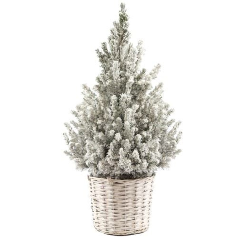 Snowing Picea Glauca Christmas Tree in Woven Basket