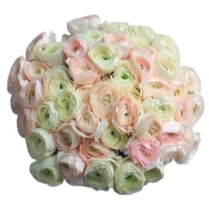 White and Light Pink Ranunculus Bouquet