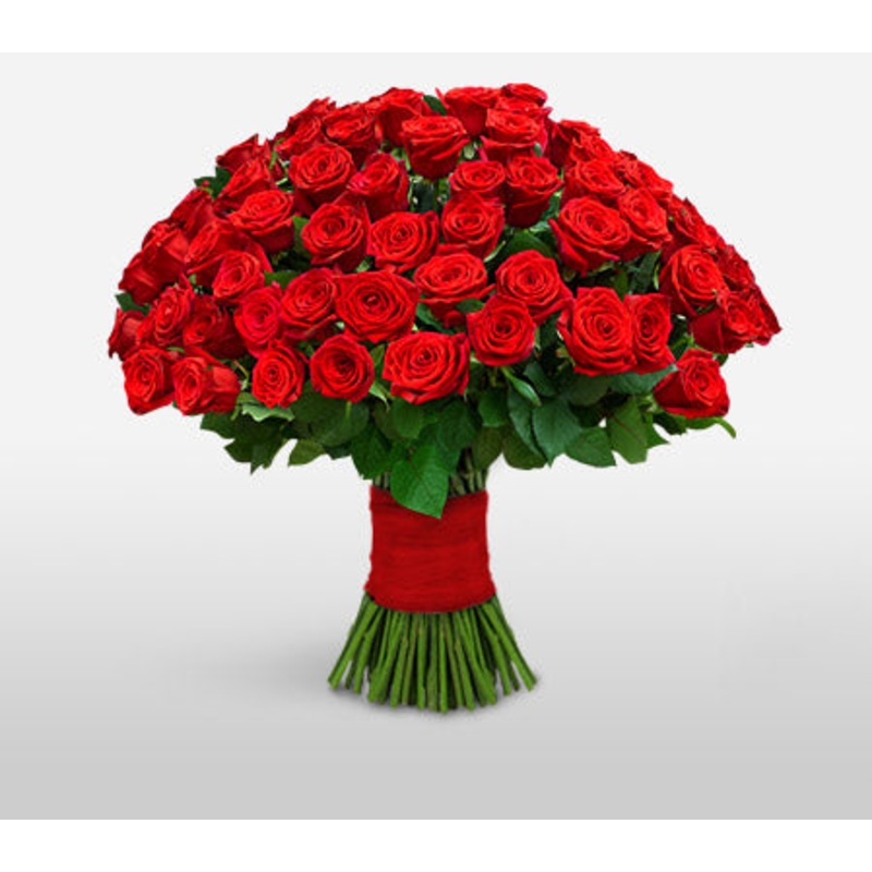 100 red roses