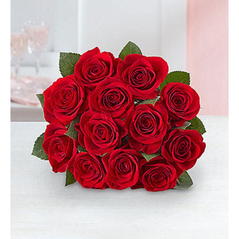 One dozen red roses