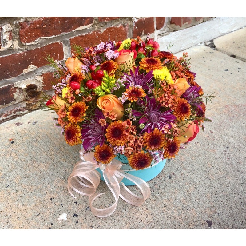 Seasonal Sophistication